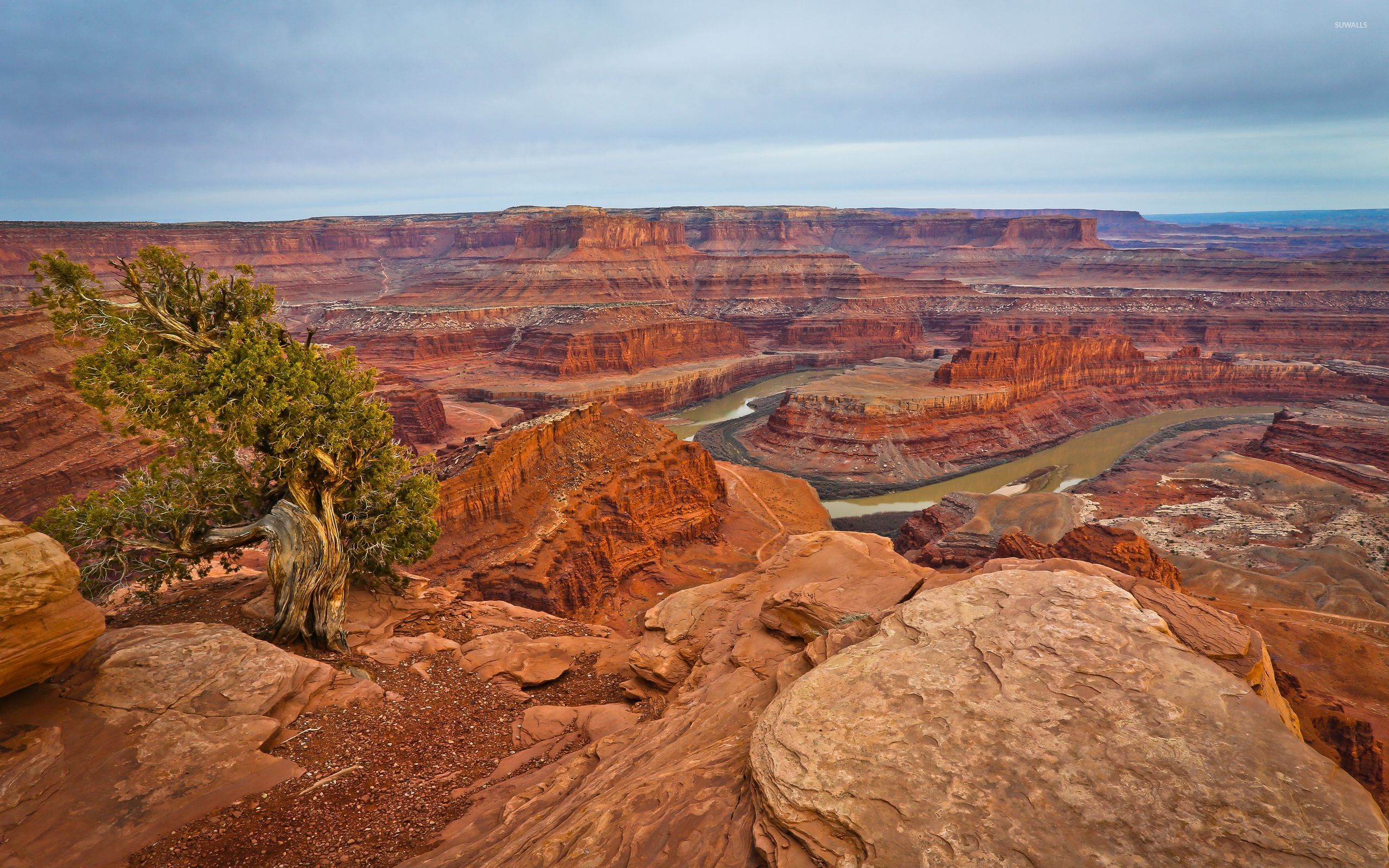 Dead Horse Point State Park wallpaper - 1252571