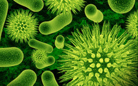Bacteria wallpaper 2880x1800 jpg