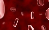 Blood cells [2] wallpaper 1920x1200 jpg