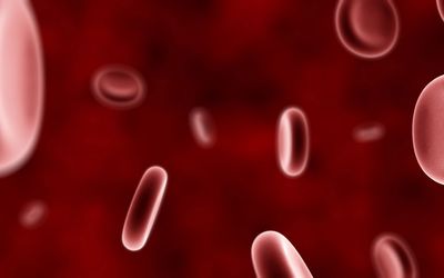 Blood cells [2] wallpaper