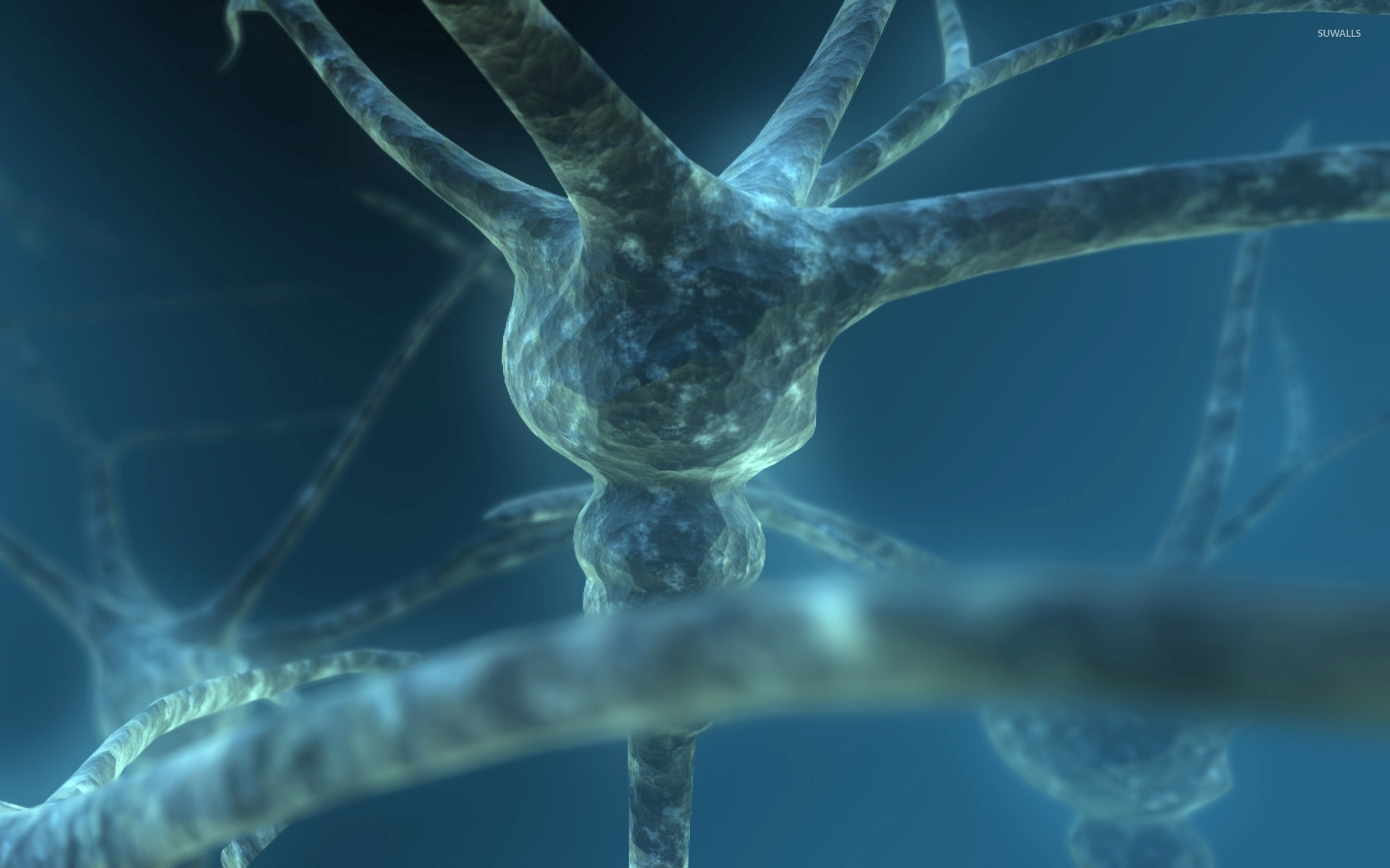 Premium Photo | Neuron function HD wallpaper photographic image