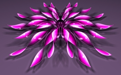 Pink flowers with a purple core Wallpaper