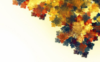 Autumn leaves wallpaper 2560x1600 jpg