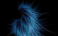 Blue swirl wallpaper 2560x1600 jpg