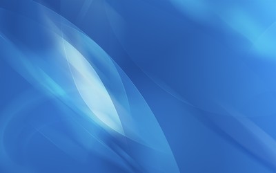 Blue translucent feathers wallpaper