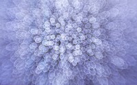 Blurry circles [6] wallpaper 2560x1600 jpg