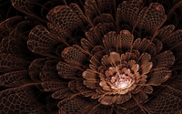 Bright light in the middle of the fractal flower wallpaper 1920x1080 jpg