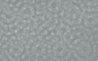 Bubbles [26] wallpaper 2560x1600 jpg
