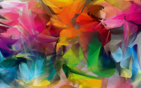 Colorful petals wallpaper 1920x1200 jpg