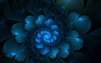 Flower wallpaper 2560x1600 jpg