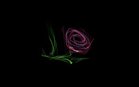 Glowing rose wallpaper 2560x1600 jpg