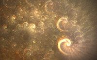 Golden swirls [2] wallpaper 2560x1440 jpg