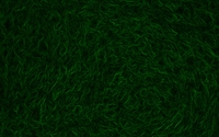 Grass [11] wallpaper 2560x1600 jpg