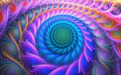 Green swirl inside the fractal curves wallpaper