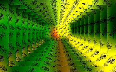 Insect tunnel wallpaper
