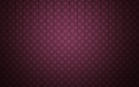 Purple flowers [6] wallpaper 2560x1600 jpg