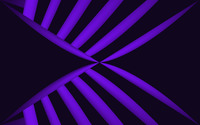 Purple wings wallpaper 2880x1800 jpg