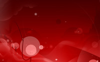 Red curves and circles wallpaper 2560x1440 jpg