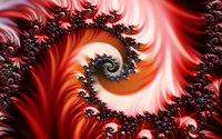 Spirals [7] wallpaper 2560x1600 jpg