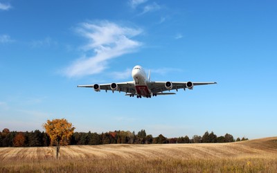 Airbus A380 flying over the field wallpaper