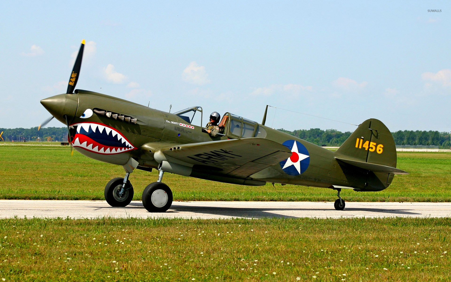 Curtiss P 40 Warhawk Airplane Military Aircraft Vehicle Warbird ...