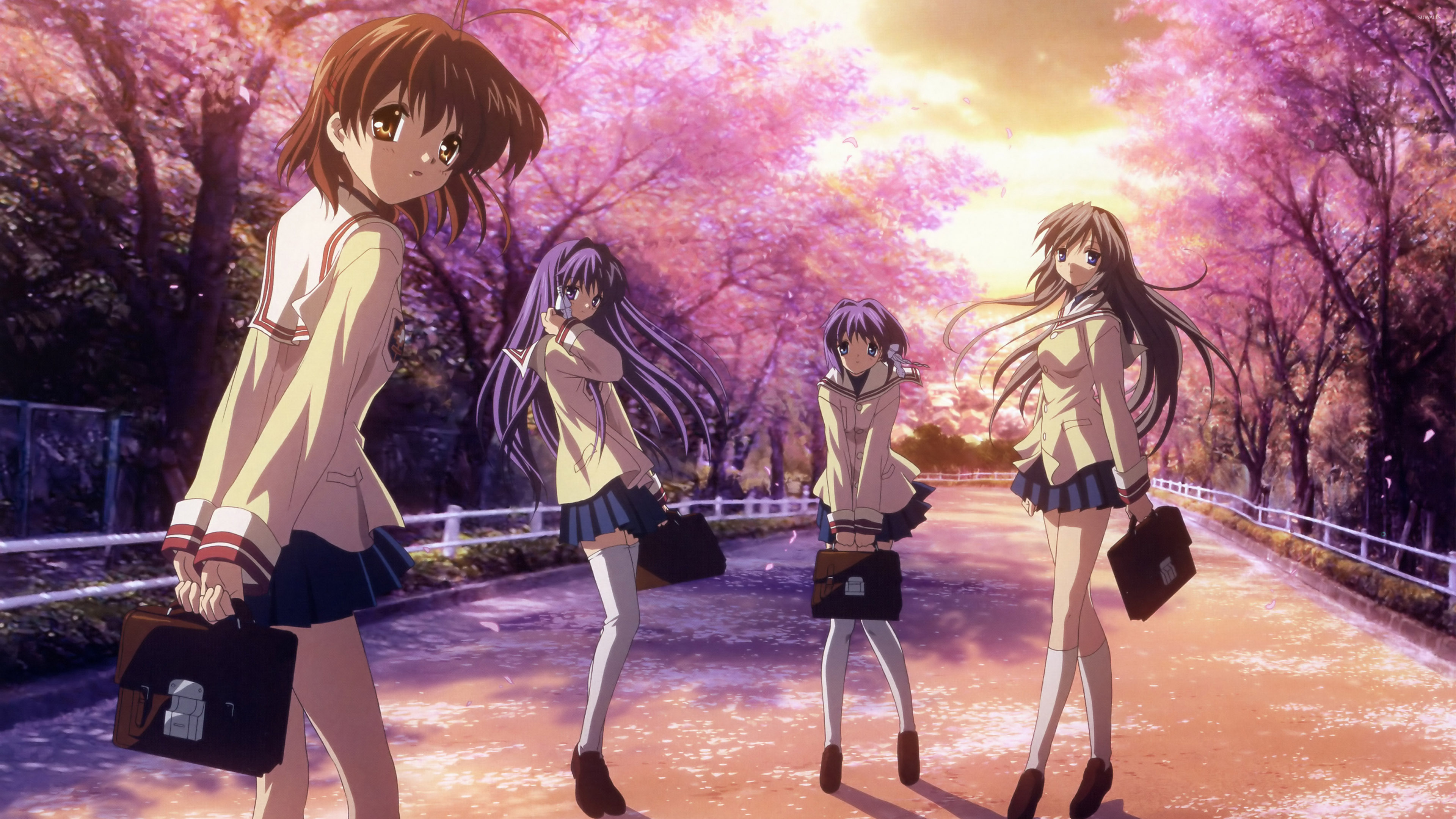 Anime Clannad 4k Ultra HD Wallpaper