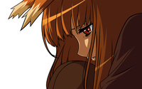 Holo - Spice and Wolf wallpaper 2560x1600 jpg