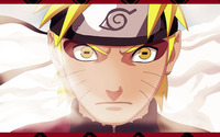 Naruto [22] wallpaper 2560x1600 jpg