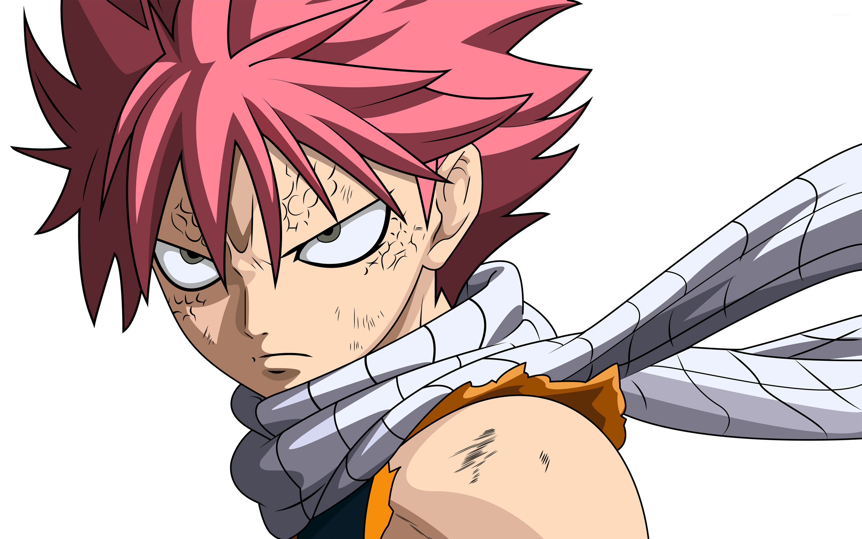 Fairy Tail Wiki - wide 7