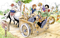 One Piece [9] wallpaper 2560x1600 jpg