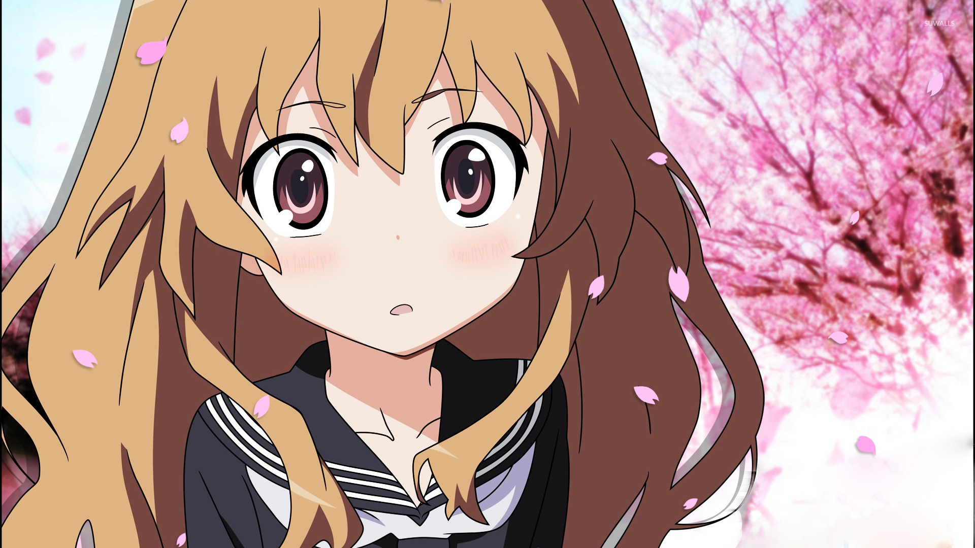 Taiga Aisaka Wallpaper Animated Anime Girl Taiga Aisaka With Fire 