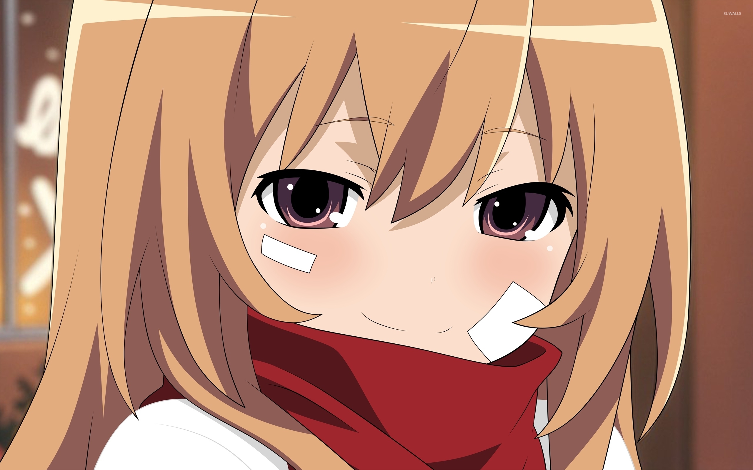 Free download  Taiga Aisaka Toradora5! Toradora! Desktop Anime