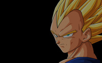 Vegeta - Dragon Ball Z wallpaper 2560x1600 jpg