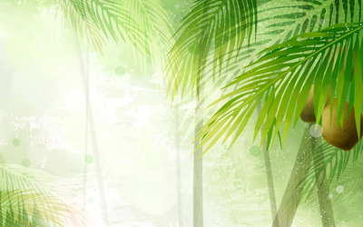 Coconut trees wallpaper