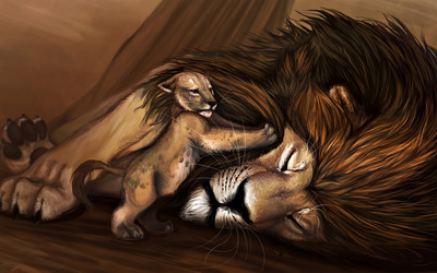 Cub waking up lion wallpaper
