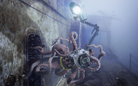 Octopus taking underwater photos wallpaper 2560x1600 jpg