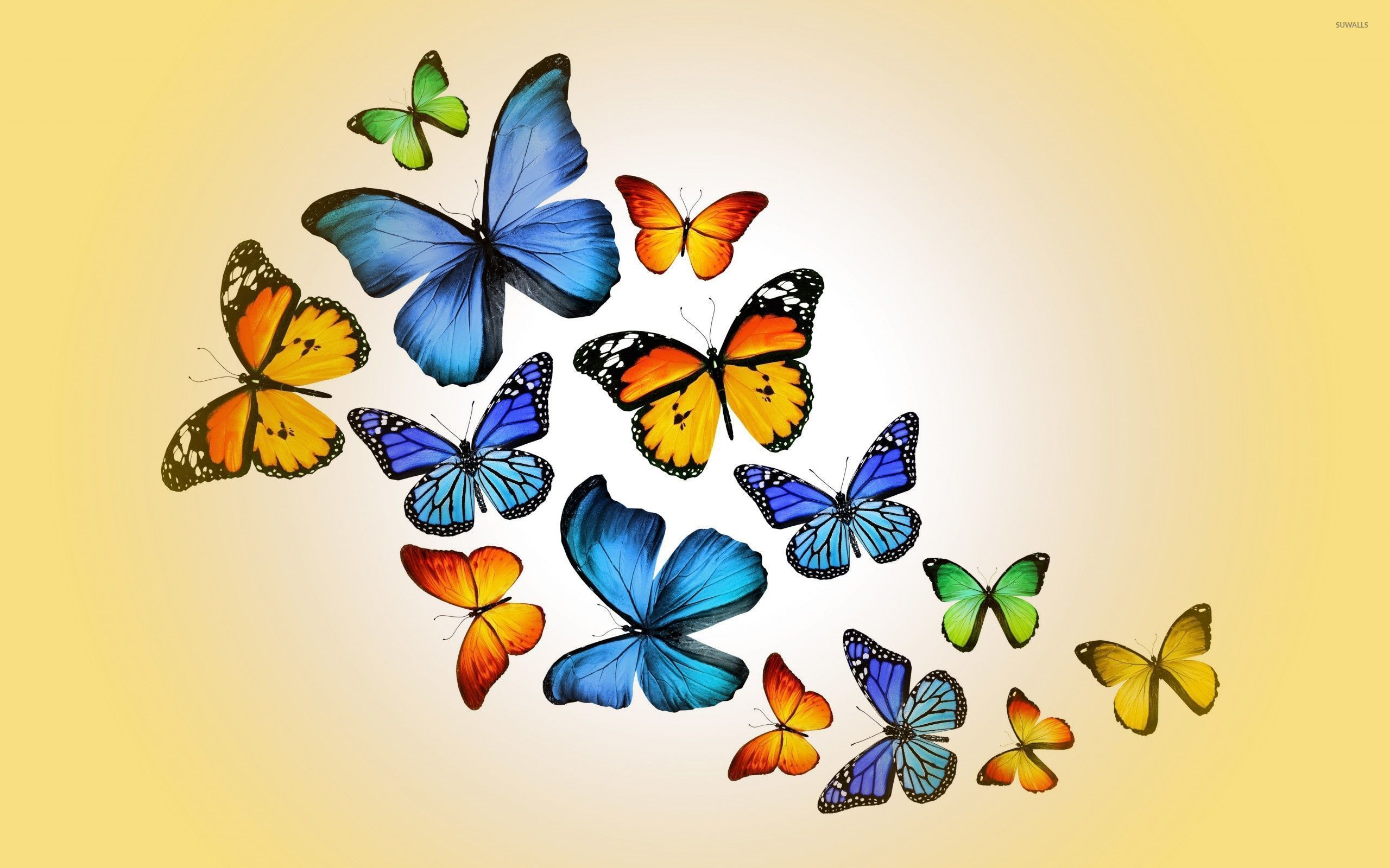 Orange and blue butterflies wallpaper - Artistic wallpapers - #52809