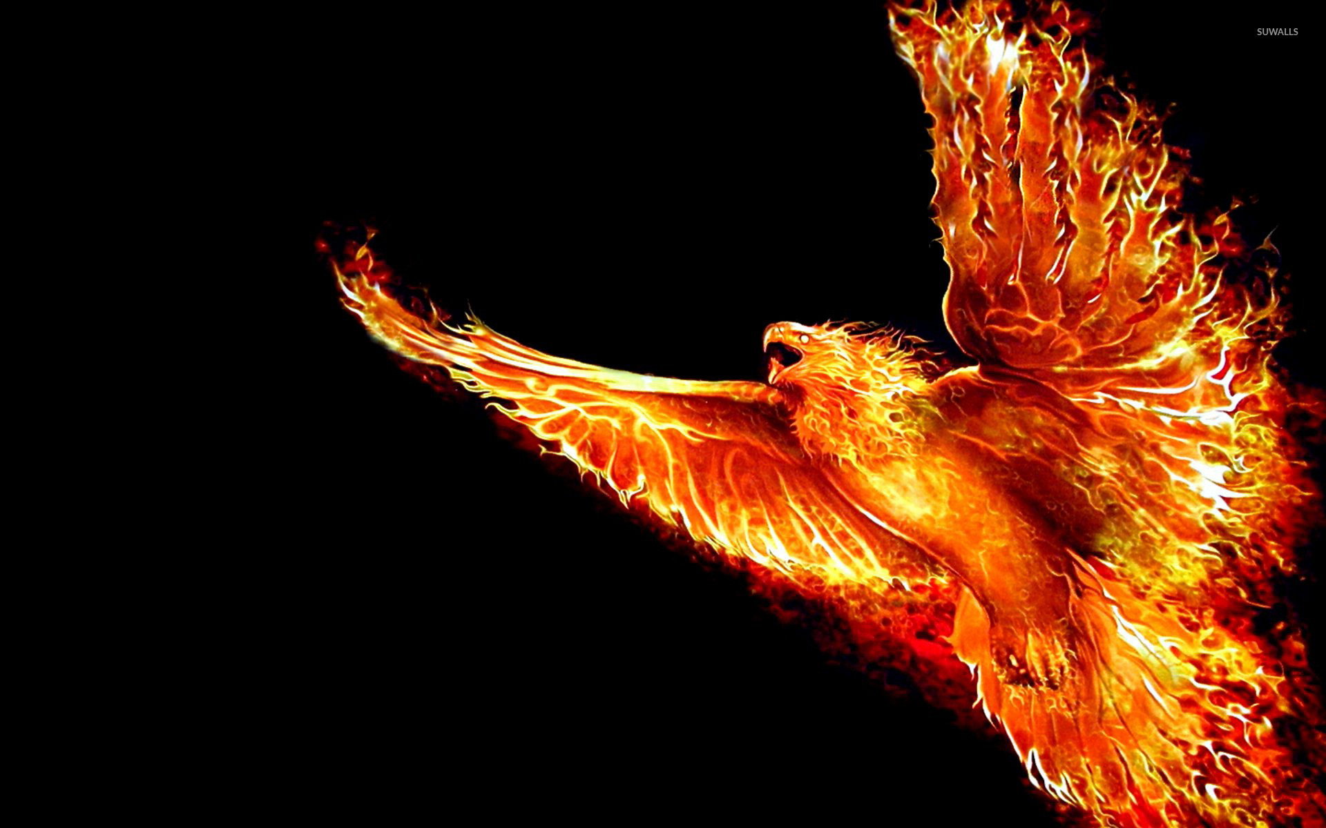 Premium Vector  Beautiful abstract silhouette wallpaper of phoenix bird in  gradient