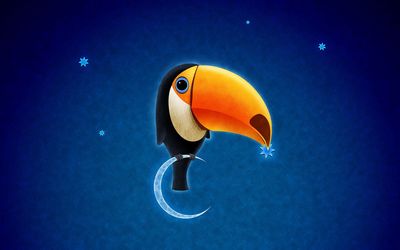 Toucan on the moon wallpaper