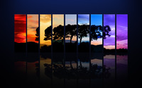 Tree in different seasons wallpaper 2560x1600 jpg