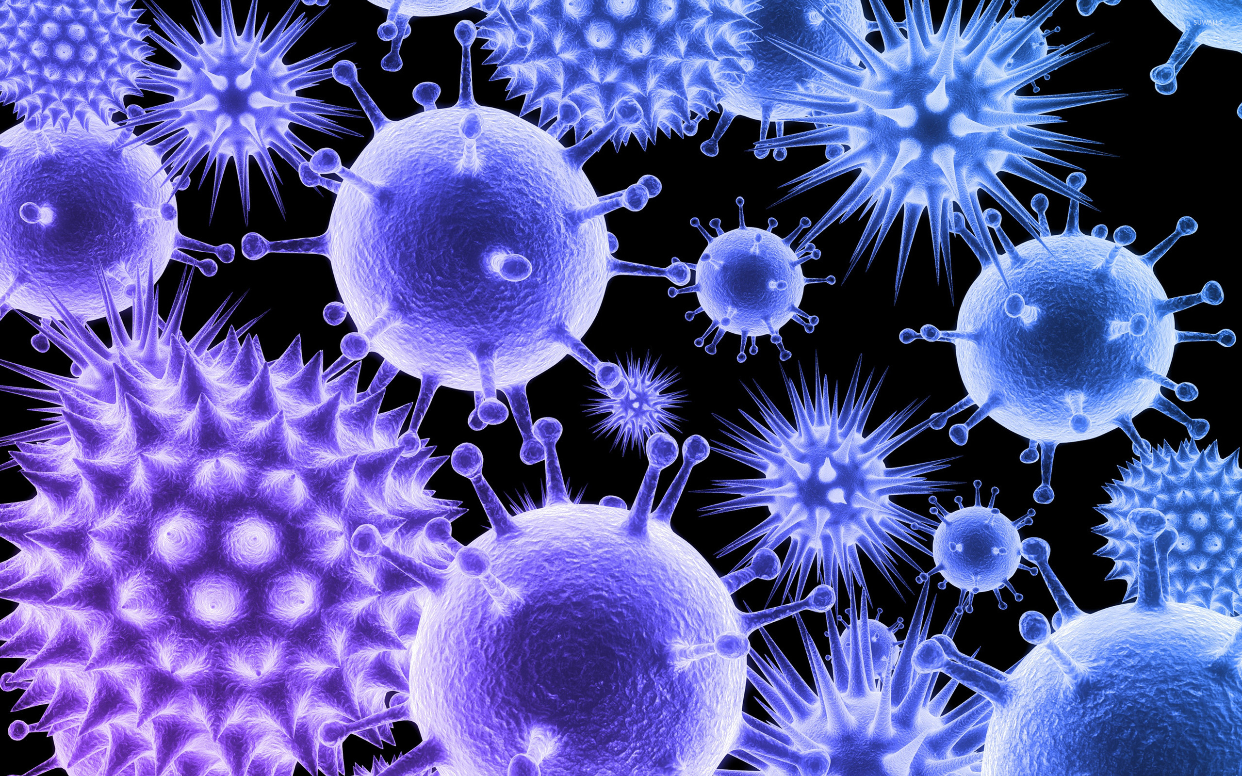Бактерии вызывающие грипп. Вирус коронавирус микробиология. Коронавирус микробиология. Вирусы картинки. Красивые вирусы.