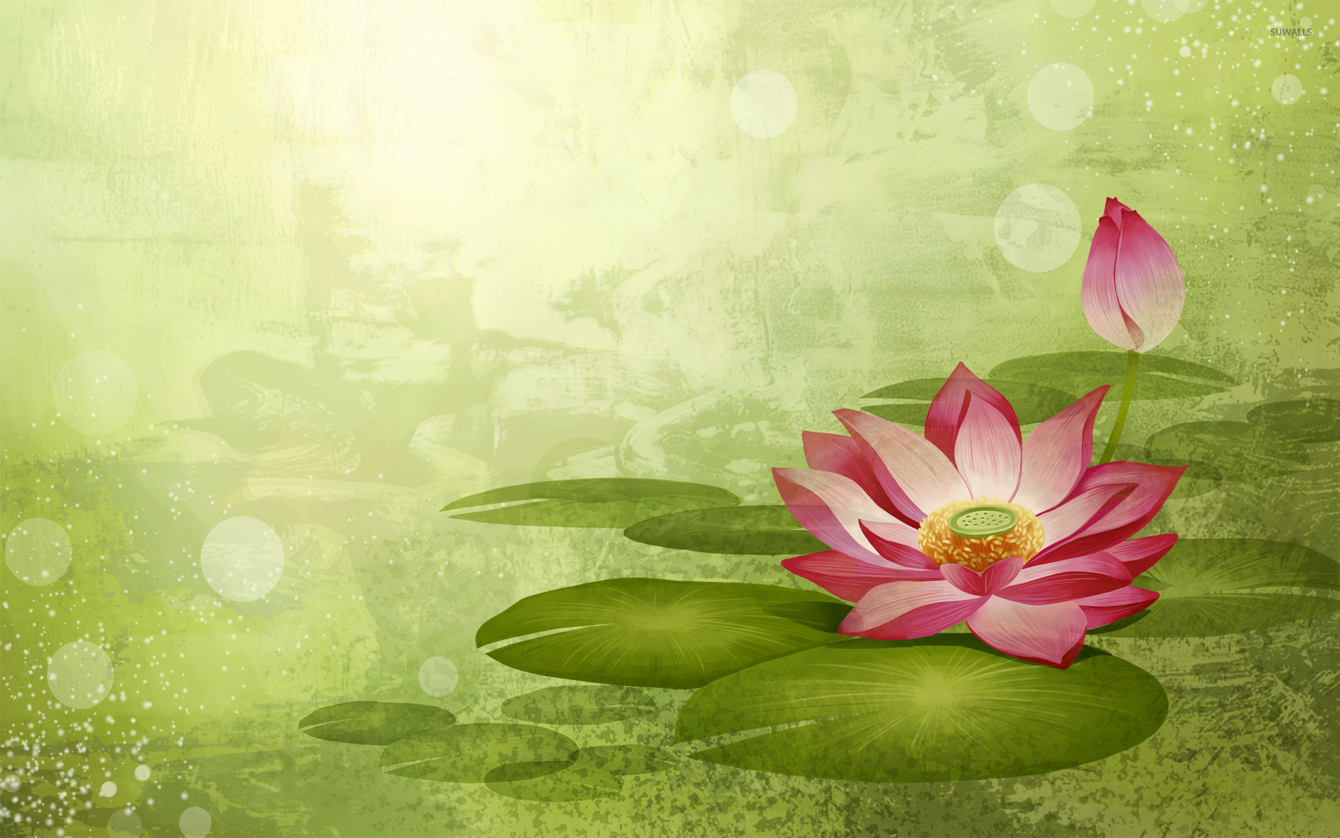 Water Lily wallpaper - Artistic wallpapers - #4299