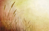 Wheat Field wallpaper 1920x1200 jpg