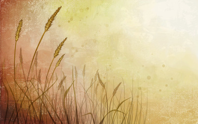 Wheat Field wallpaper