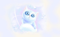 White kitten with blue eyes wallpaper 1920x1200 jpg
