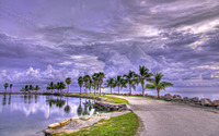 Fluffy clouds over the palm trees wallpaper 1920x1200 jpg