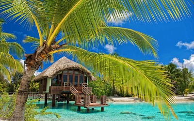 Hut in the water by the palm trees Wallpaper
