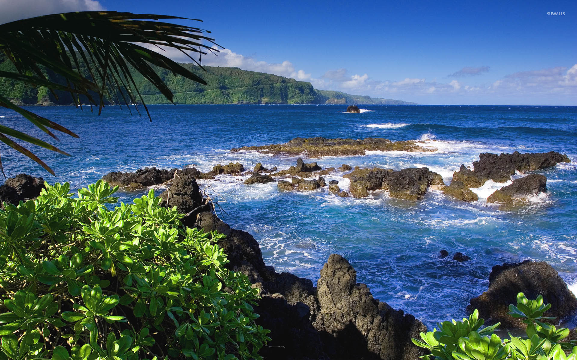 10 Maui Moana HD Wallpapers and Backgrounds