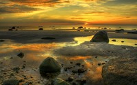 Mossy rocks at sunset wallpaper 2560x1600 jpg