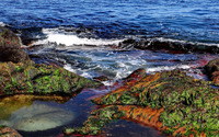 Waves splashing on mossy rocks [2] wallpaper 1920x1200 jpg